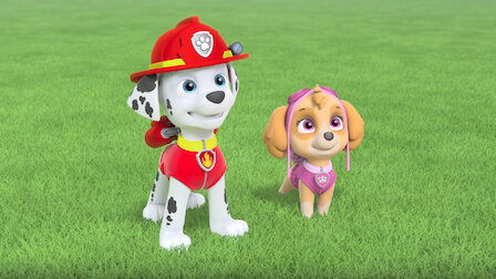 Paw Patrol 