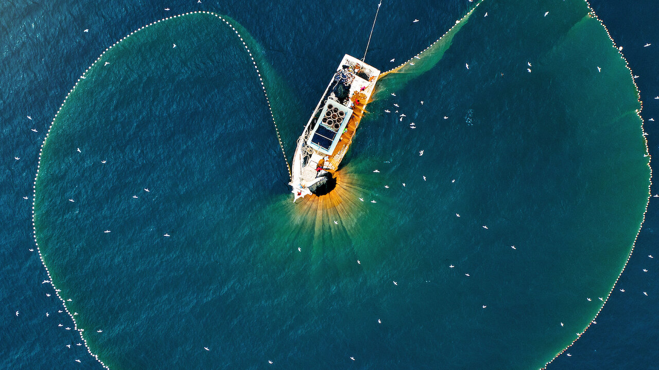 Watch Fishing for Bluefin Tuna Netflix